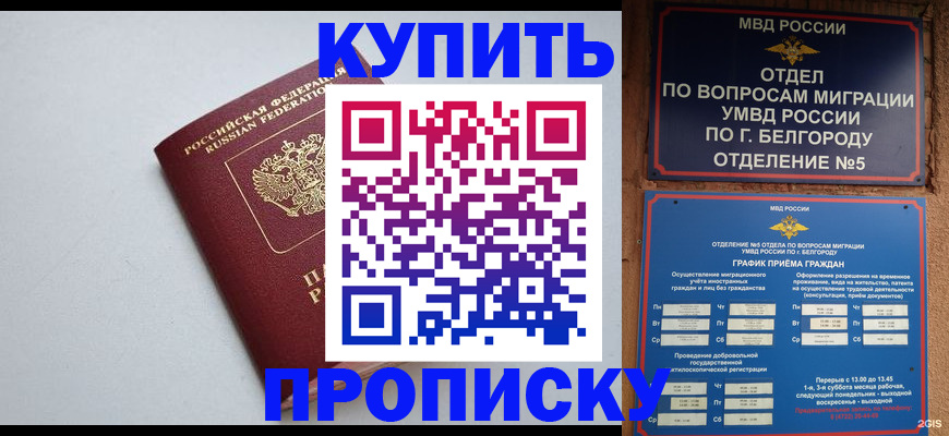 прописка регистрация в Клинцах